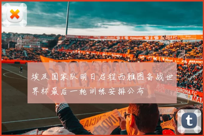 埃及国家队明日启程西雅图备战世界杯最后一轮训练安排公布