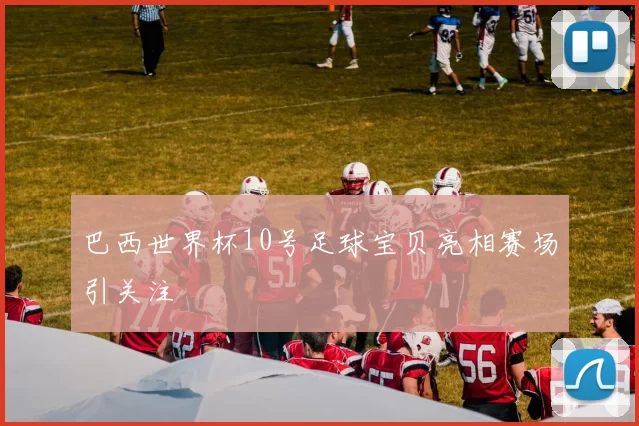 巴西世界杯10号足球宝贝亮相赛场引关注