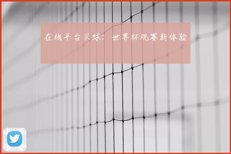 在线平台买球:世界杯观赛新体验
