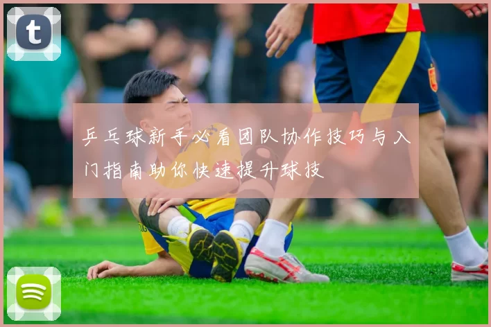 乒乓球新手必看团队协作技巧与入门指南助你快速提升球技
