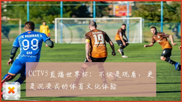CCTV5直播世界杯：不仅是观看，更是沉浸式的体育文化体验