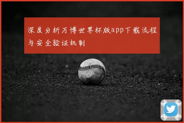深度分析万博世界杯版app下载流程与安全验证机制