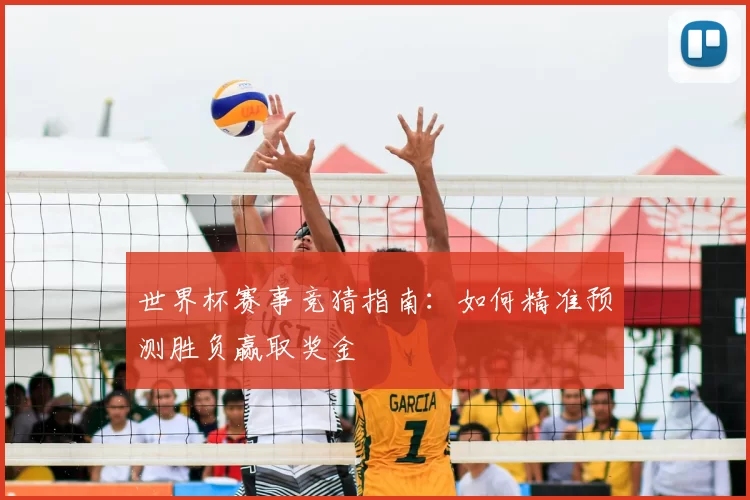 世界杯赛事竞猜指南:如何精准预测胜负赢取奖金