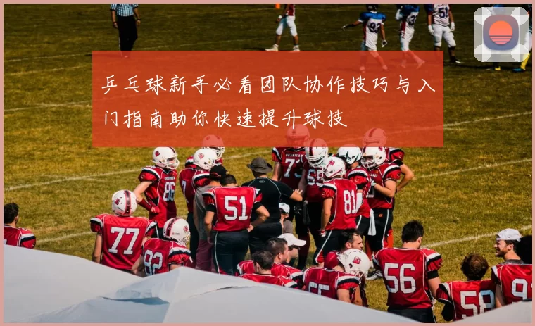 乒乓球新手必看团队协作技巧与入门指南助你快速提升球技