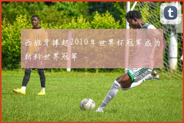西班牙捧起2010年世界杯冠军成为新科世界冠军