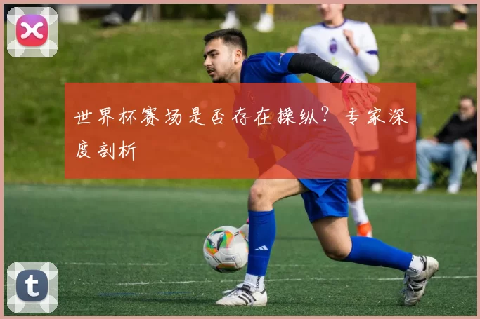 世界杯赛场是否存在操纵？专家深度剖析