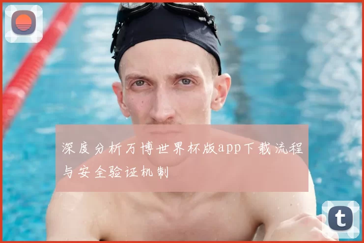 深度分析万博世界杯版app下载流程与安全验证机制