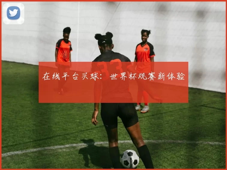 在线平台买球：世界杯观赛新体验